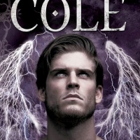 Immortals After Dark Series by Kresley Cole